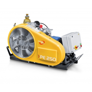 Компрессор PE300-TE-225
